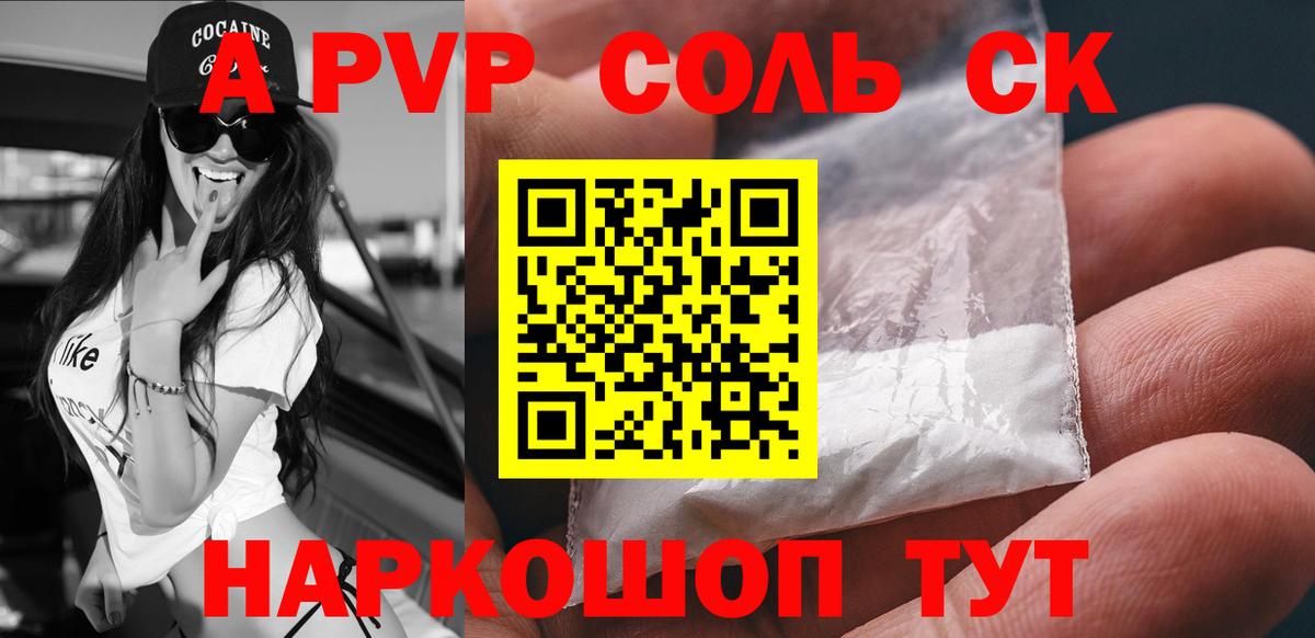 Альфа ПВП СК Анапа